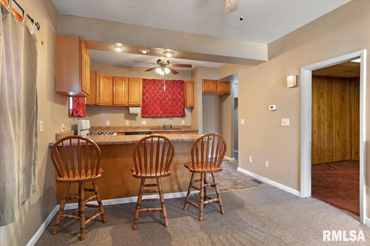 1703 East Matheny Avenue Springfield, IL 62702 - Photo 8 of 21