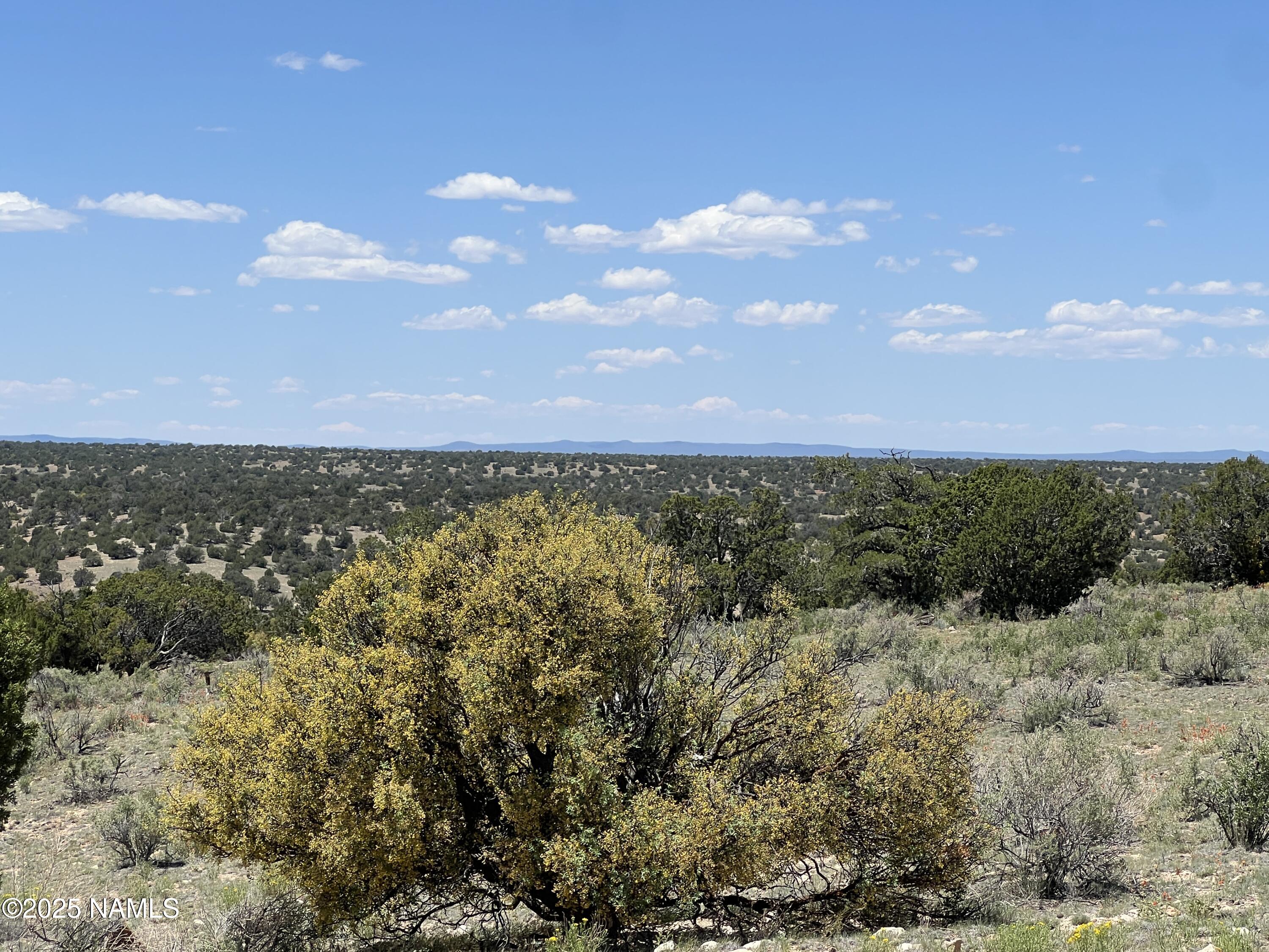8834 Northstar Road Williams, AZ 86046 - Photo 20 of 33 IMG_5422