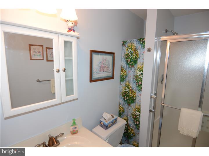 2529 Leisczs Bridge Road Reading, PA 19605 - Photo 19 of 23