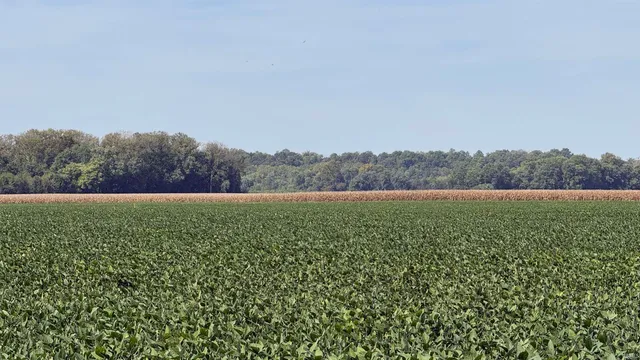 $1 | 2 East 100th, Worthington, IN 47471