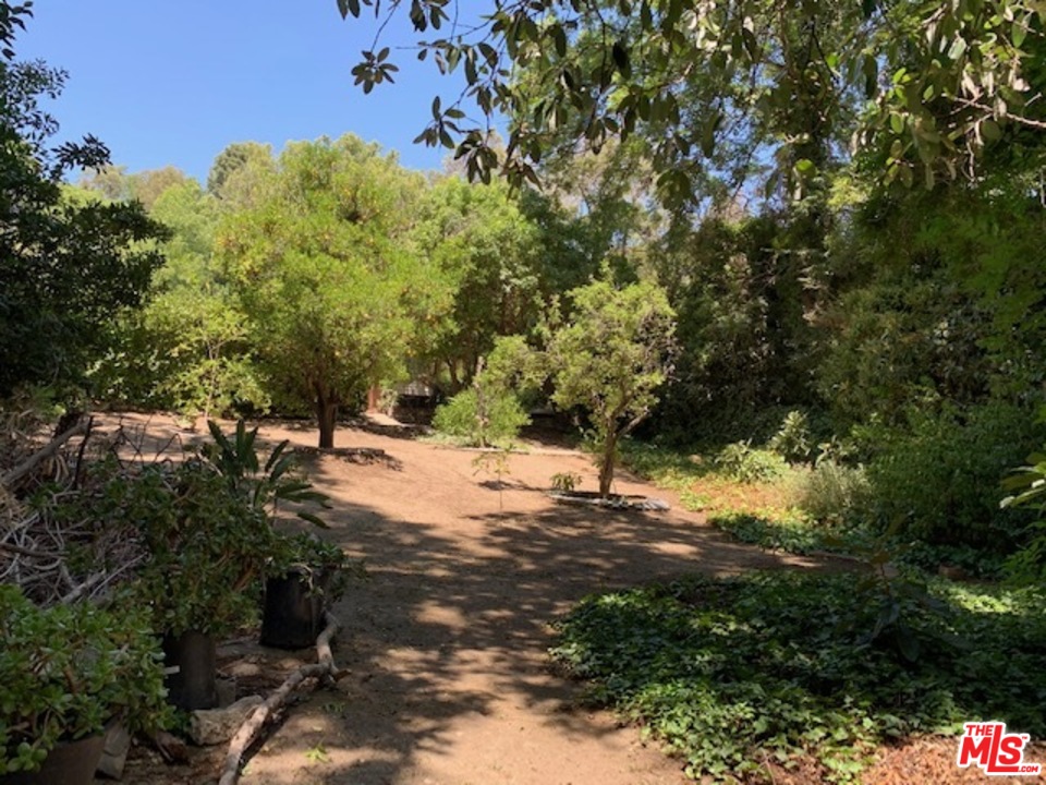 12301 Viewcrest Road Studio City, CA 91604 - Photo 10 of 15 Gallery Image 10