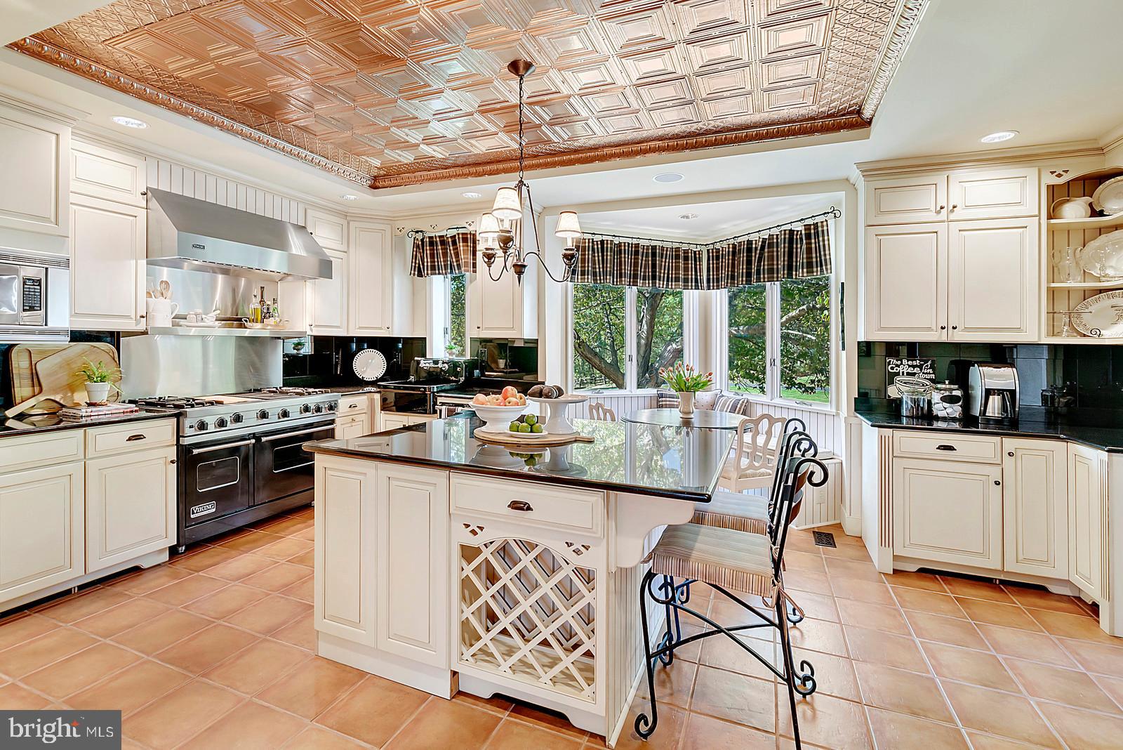 3724 Rectortown Road Marshall, VA 20115 - Photo 17 of 105 Gourmet Kitchen w/copper ceiling breakfast nook
