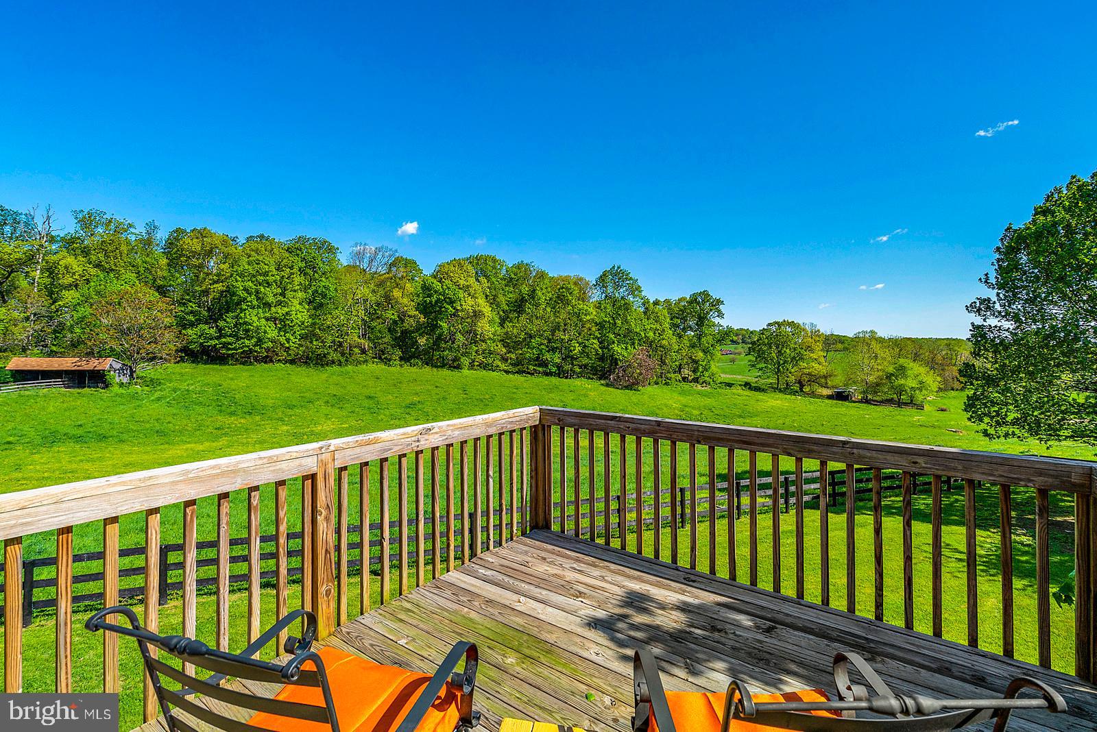 3724 Rectortown Road Marshall, VA 20115 - Photo 53 of 105 Bonus Space View of Paddocks