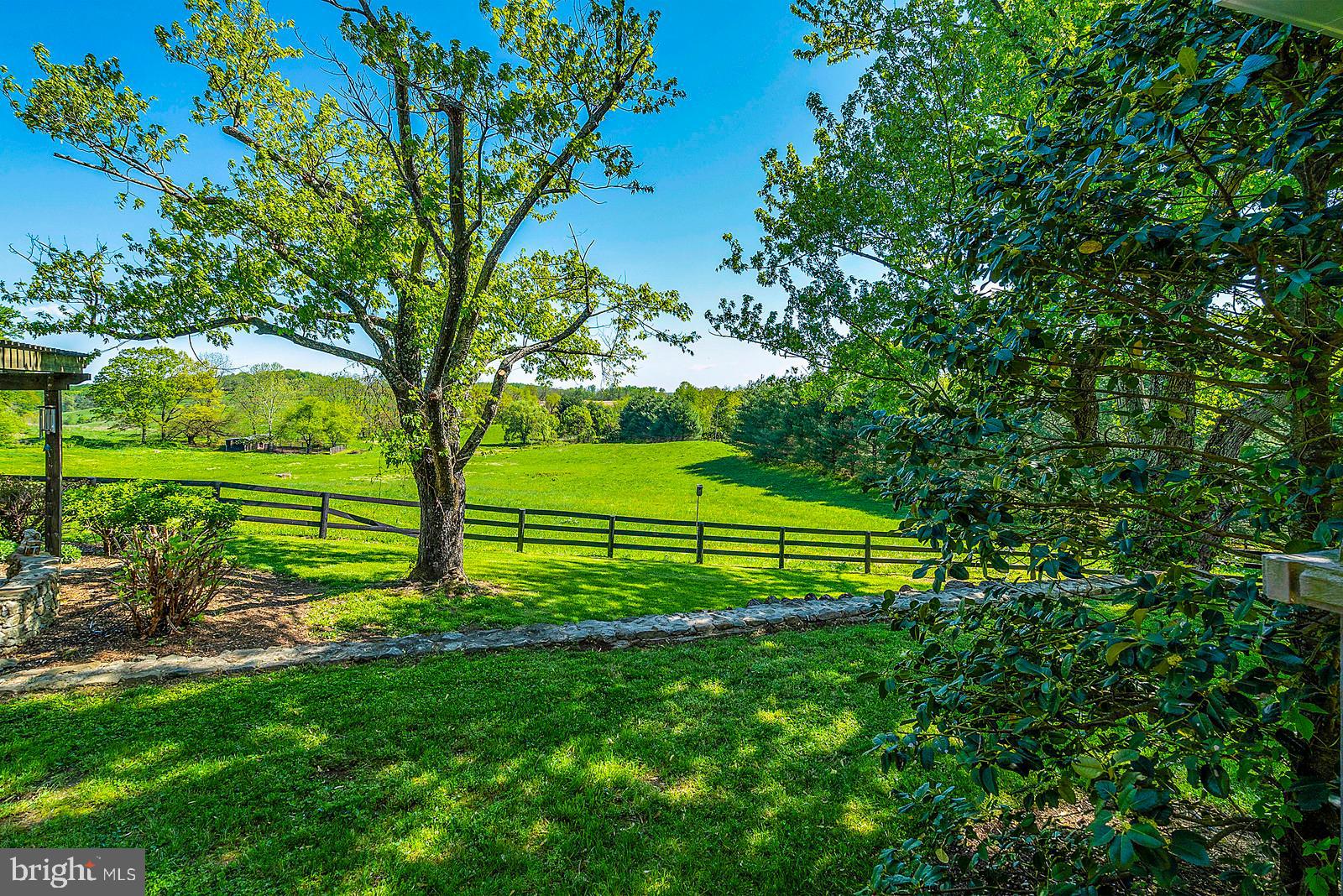 3724 Rectortown Road Marshall, VA 20115 - Photo 60 of 105 View of paddock from Asphalt driveway