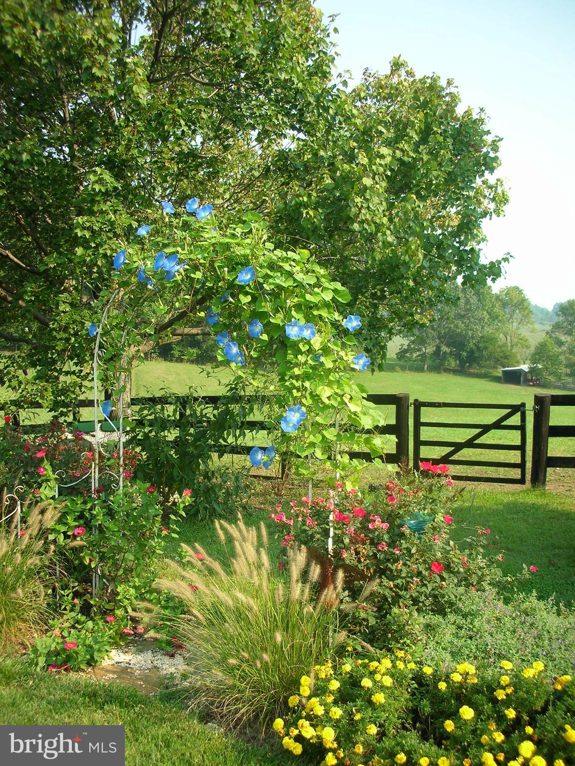 3724 Rectortown Road Marshall, VA 20115 - Photo 66 of 105 Gallery Image 66