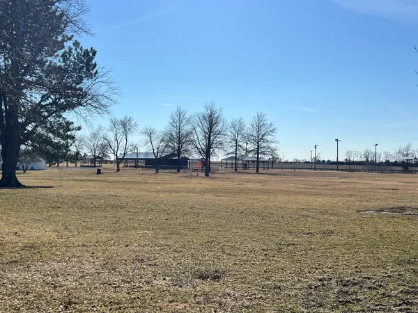 a view of road with large trees