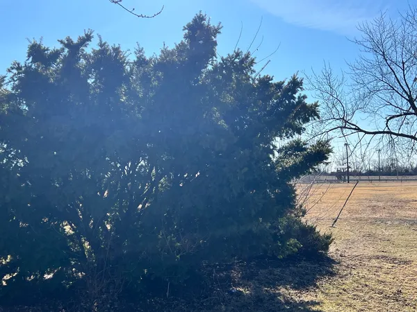 a view of lake with houses