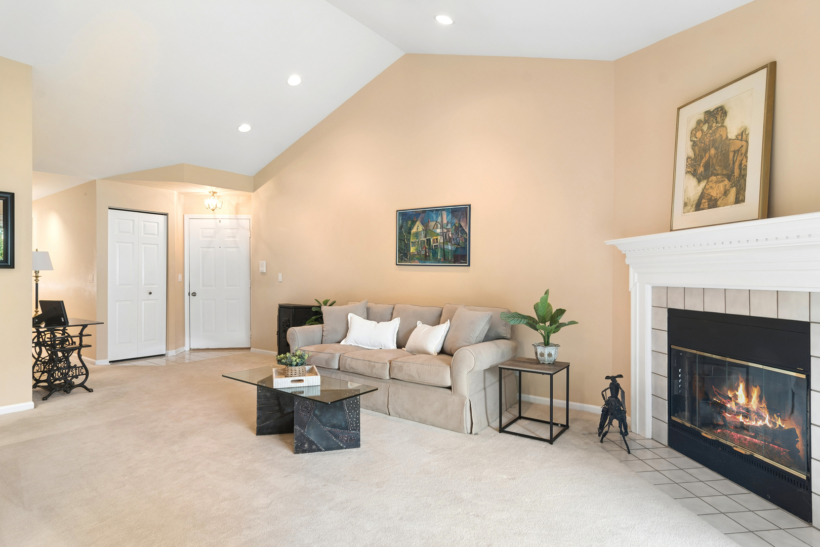 1007 Butternut Lane, Unit D Mount Prospect, IL 60056 - Photo 4 of 24