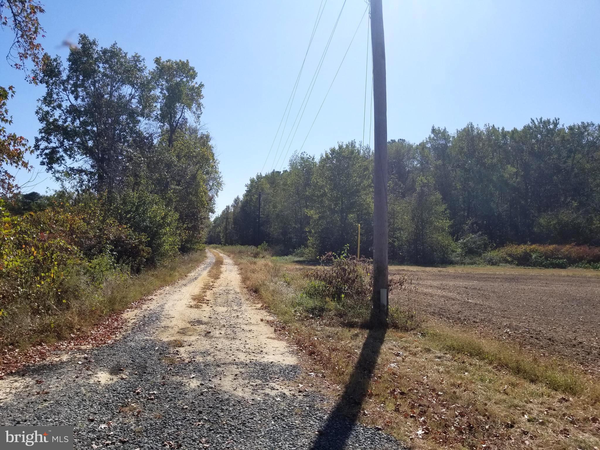 Messick Road East New Market, MD 21631 - Photo 2 of 8 Looking Down Granny Lane, Property On Right