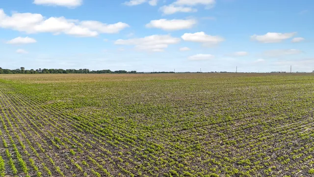 a view of an ocean and beach
