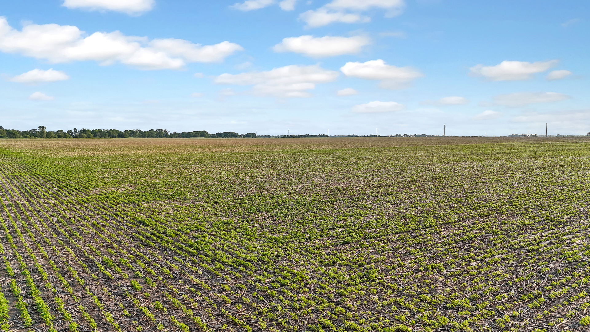 11000 South Lagrange Road Manteno, IL 60950 - Photo 7 of 8 a view of an ocean and beach