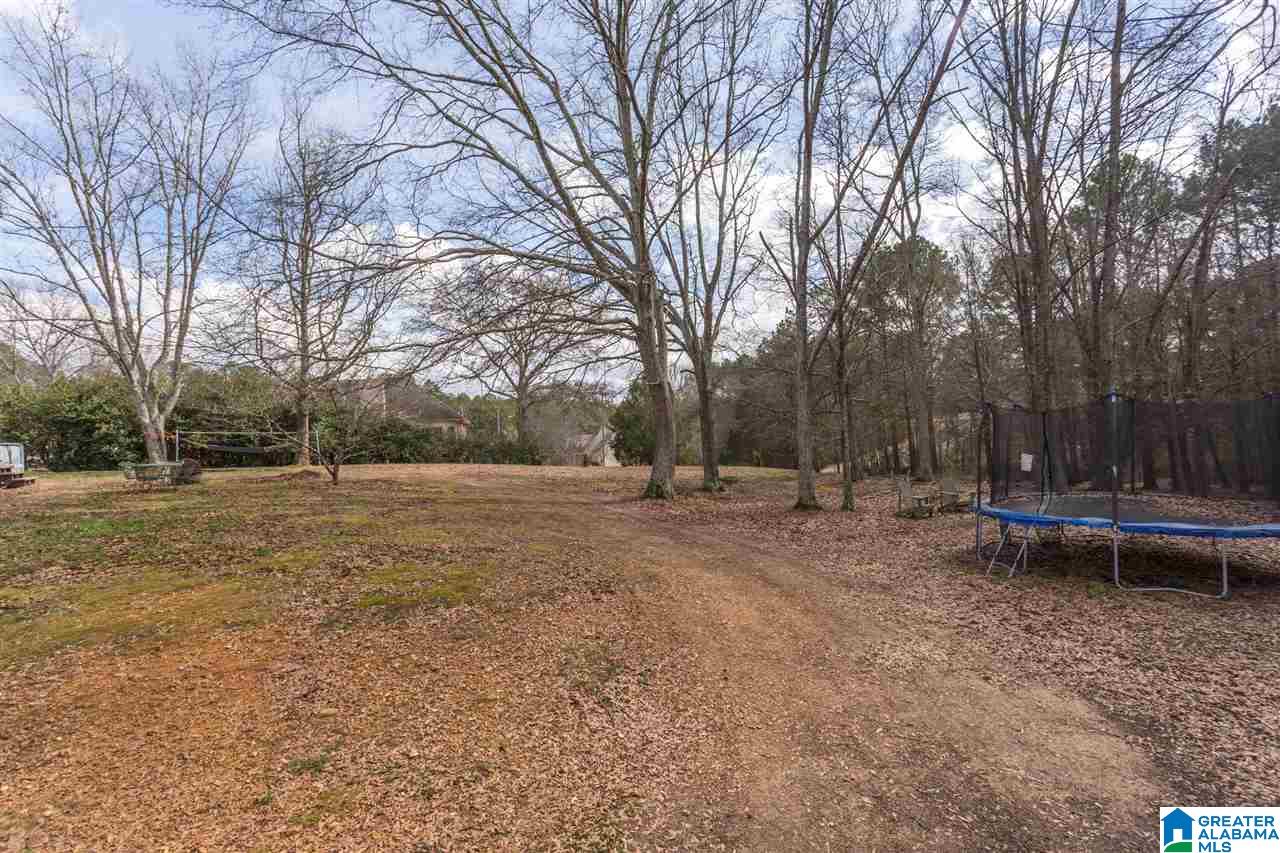 1002 Valley Road Oneonta, AL 35121 - Photo 28 of 31
