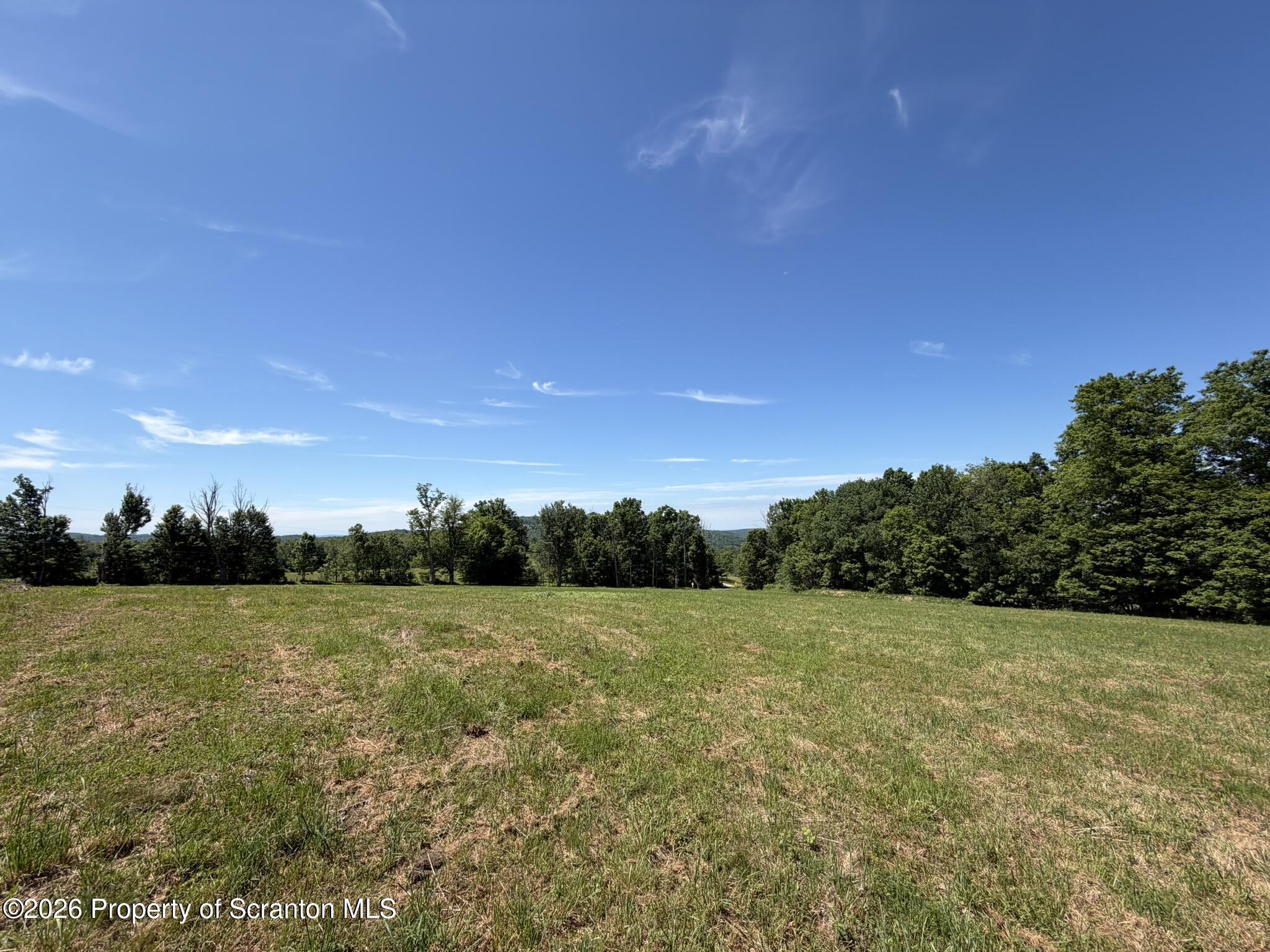 Lot #2 State Rte 2014 Union Dale, PA 18470 - Photo 1 of 8 a view of a field with trees in background