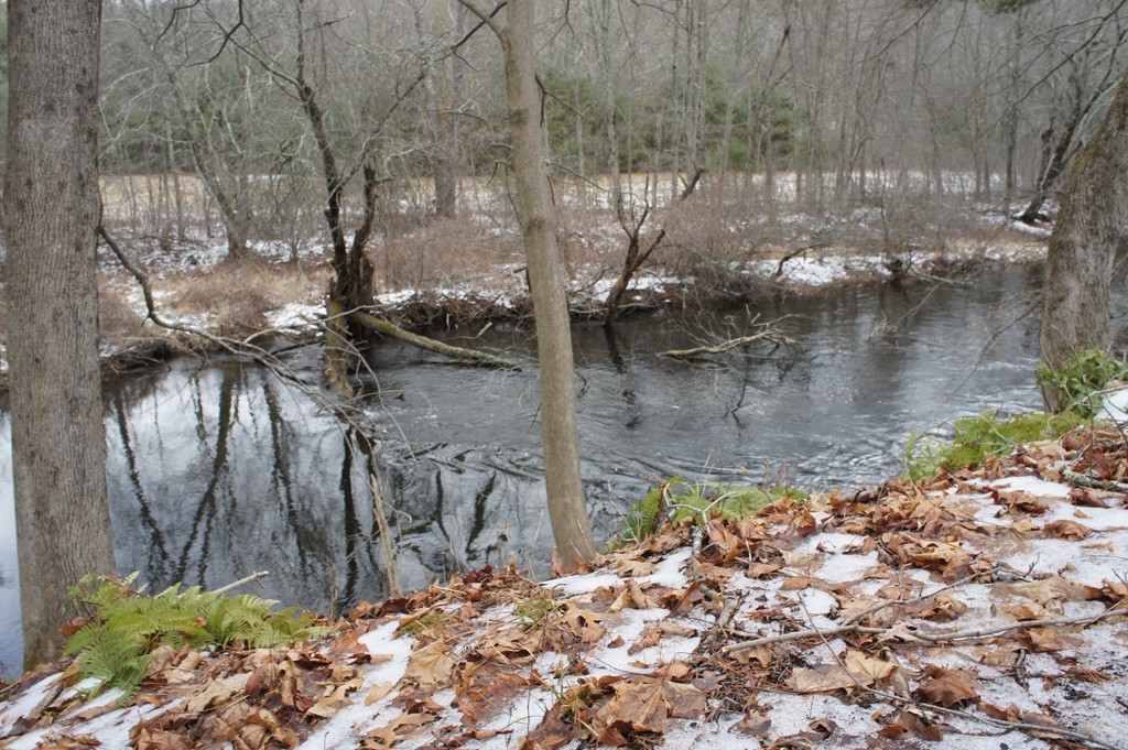 65 Farquhar Road Sturbridge, MA 01566 - Photo 17 of 17