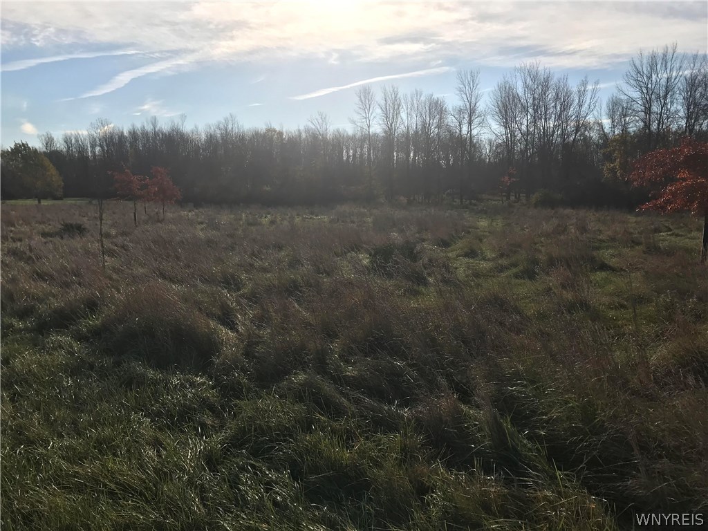V/l Telegraph Road Medina, NY 14103 - Photo 1 of 1
