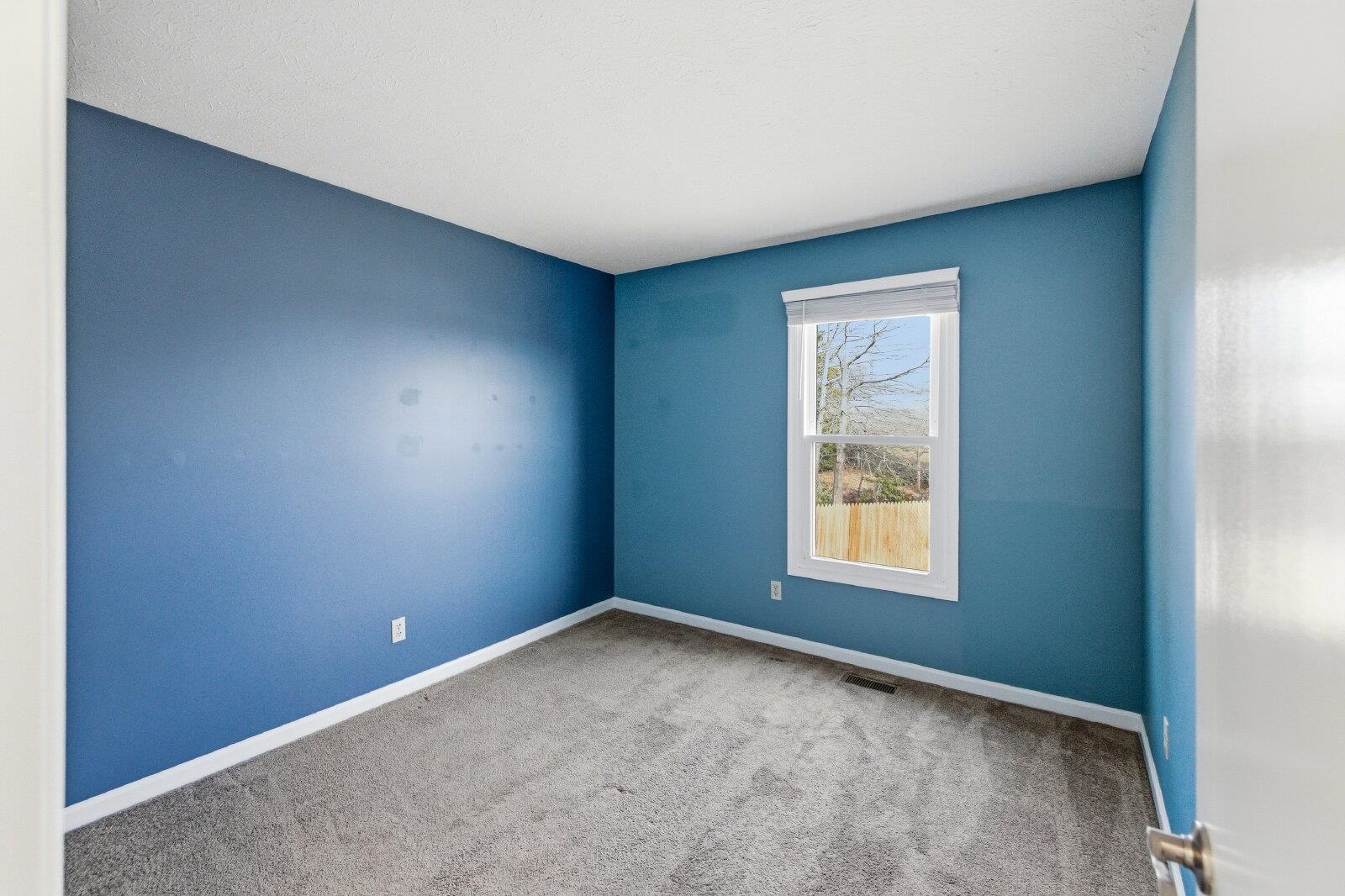 830 Vine Street Harrisonburg, VA 22802 - Photo 23 of 34 an empty room with a window