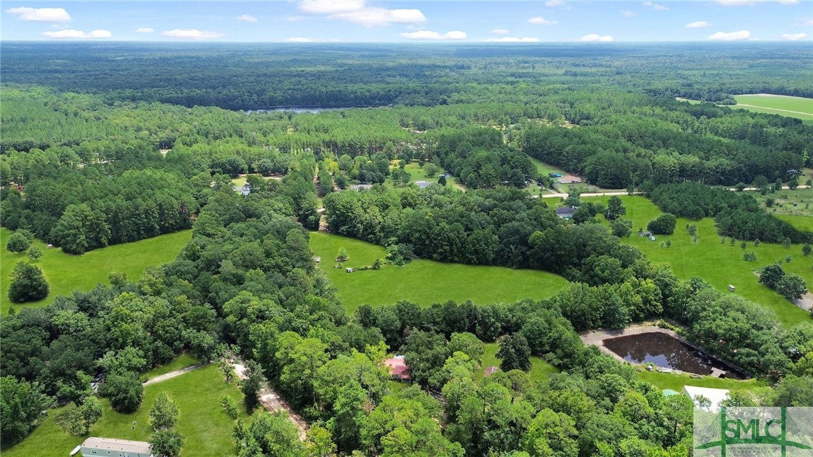1029 Hubert Church Road Brooklet, GA 30415 - Photo 10 of 38
