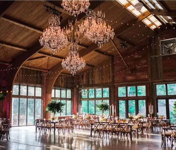 a view of a patio with table and chairs potted plants and large tree