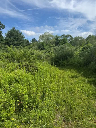 a view of a lush green field