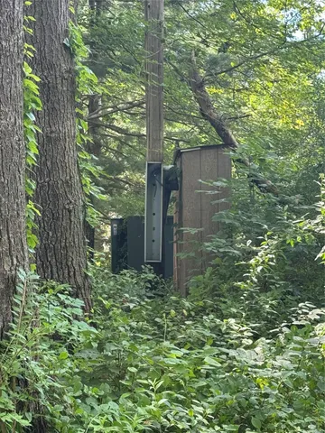 a view of a back yard