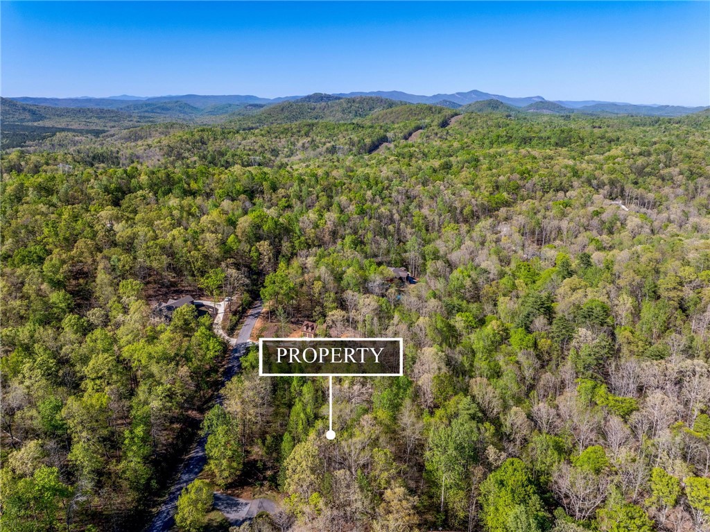 120 Julie Way Pickens, SC 29671 - Photo 7 of 20