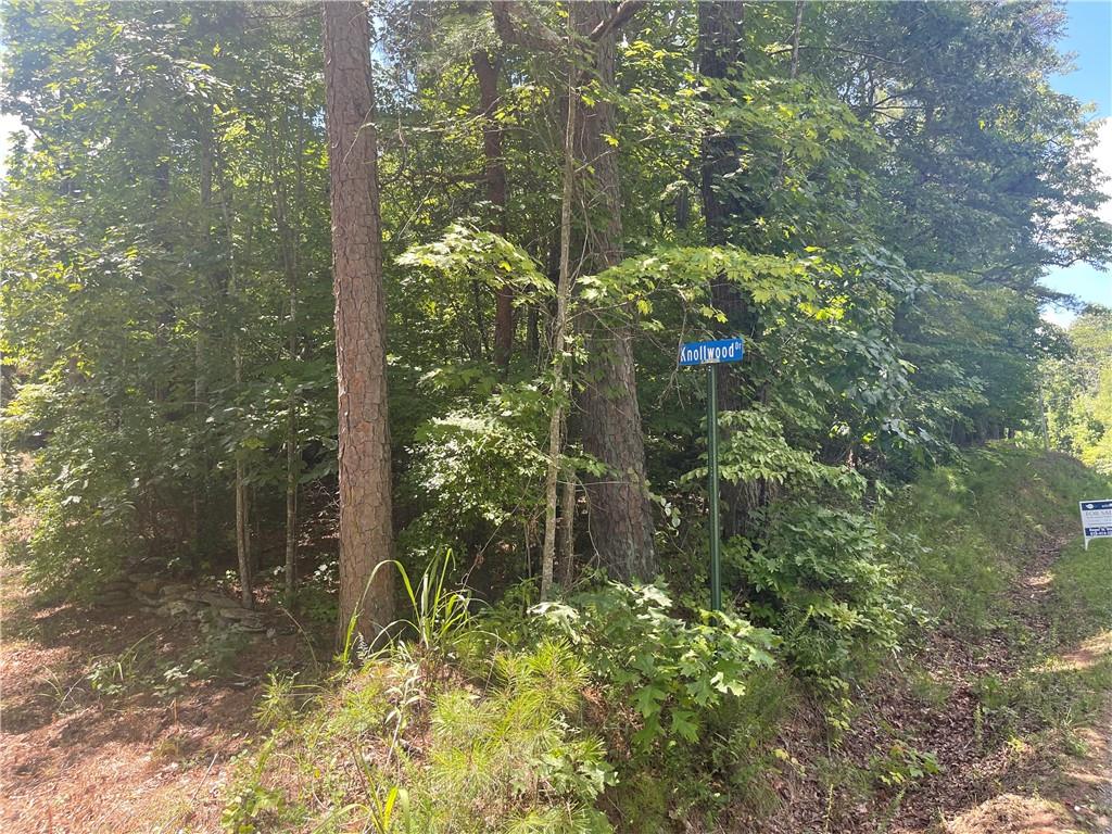 0 Salem Church Road Jasper, GA 30143 - Photo 8 of 12 a view of a garden