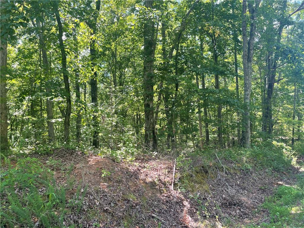 0 Salem Church Road Jasper, GA 30143 - Photo 9 of 12 a view of outdoor space and green space