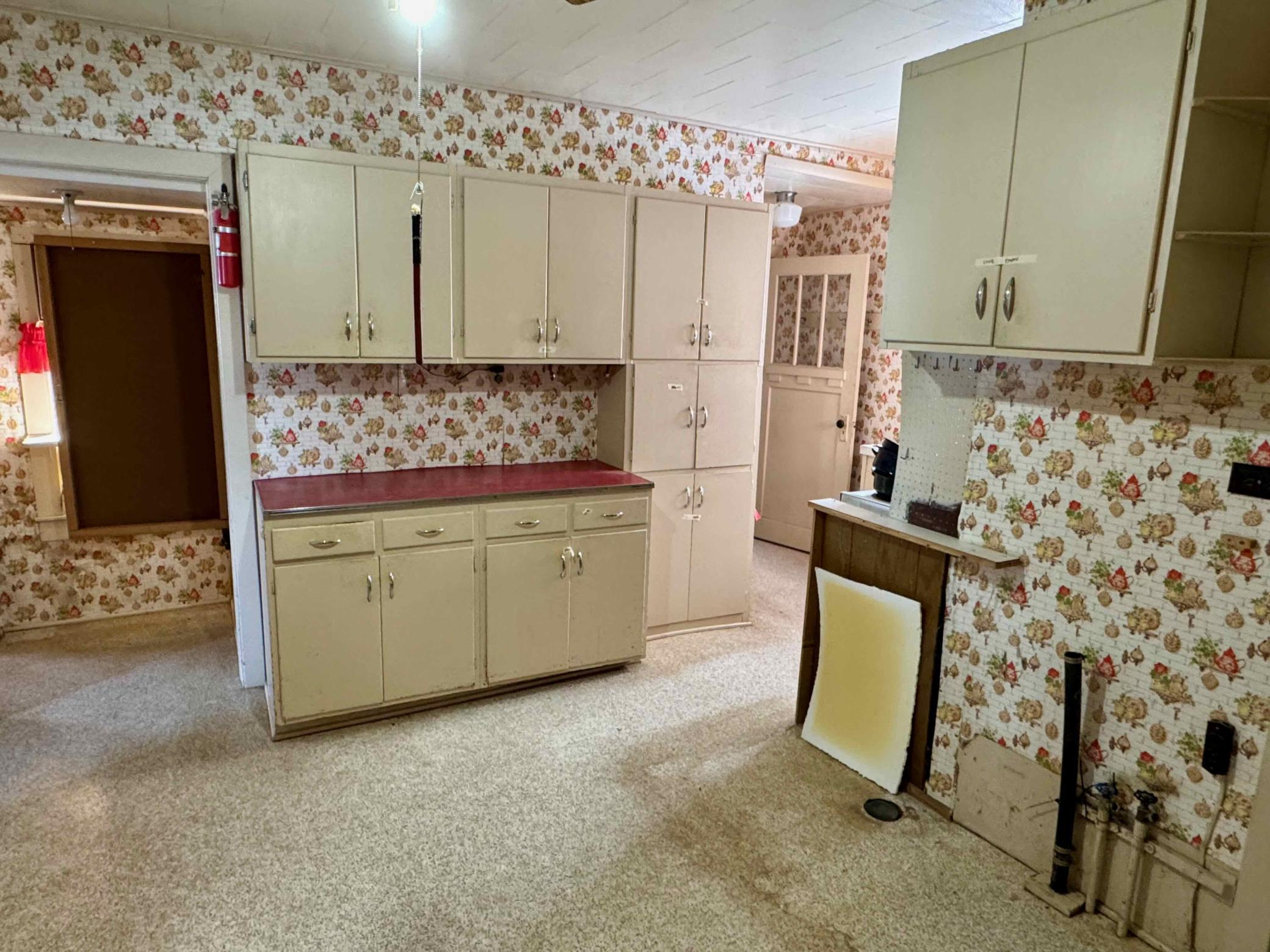 911 Maple Avenue Bird Island, MN 55310 - Photo 7 of 8