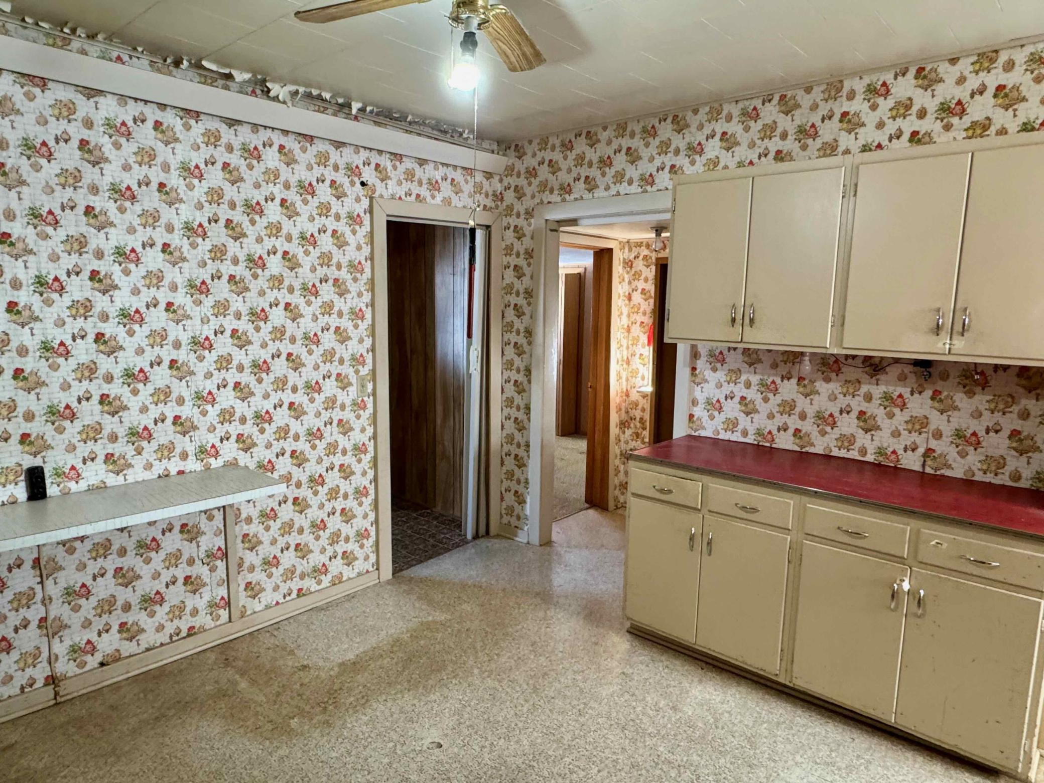 911 Maple Avenue Bird Island, MN 55310 - Photo 8 of 8