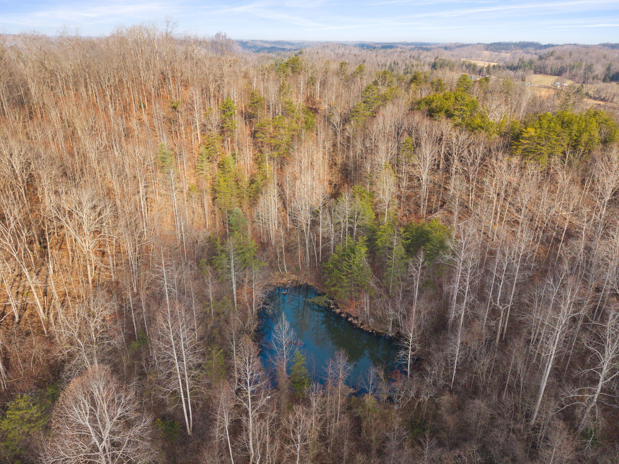 0 Marshall Road Beattyville, KY 41311 - Photo 17 of 32 12-web-or-mls-DJI_20260107103309_0061_D