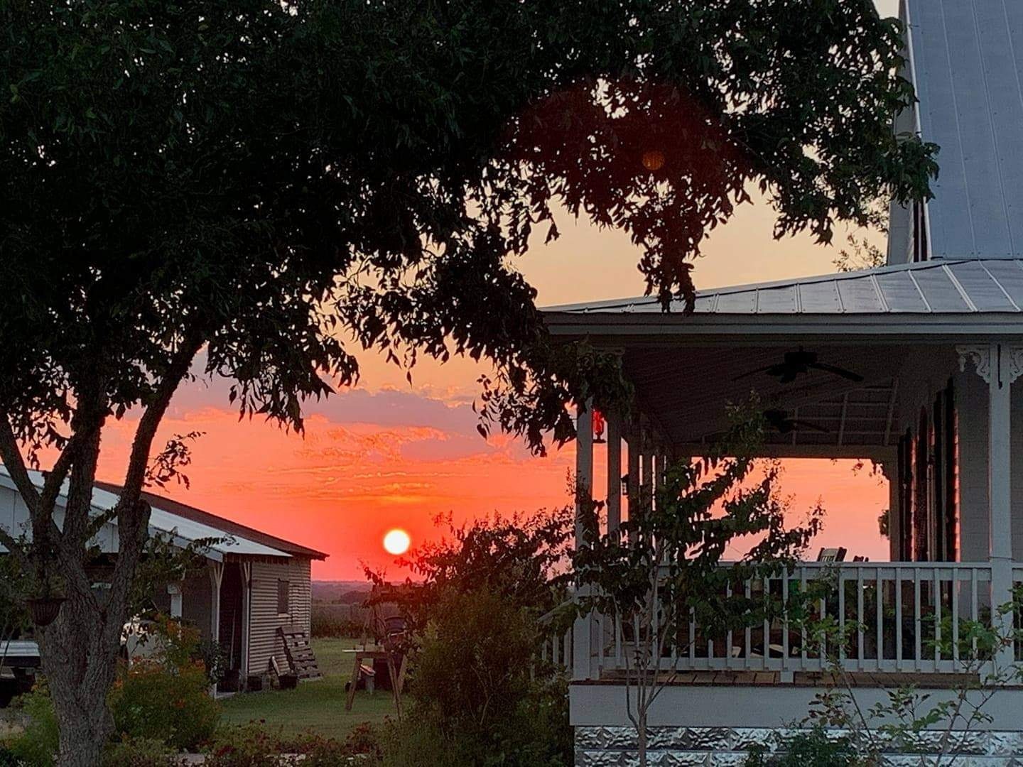 1098 Post Oak Point Road Fayetteville, TX 78940 - Photo 3 of 14 a view of yard with outdoor seating