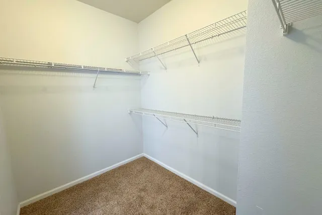 a view of a room with racks on the wall