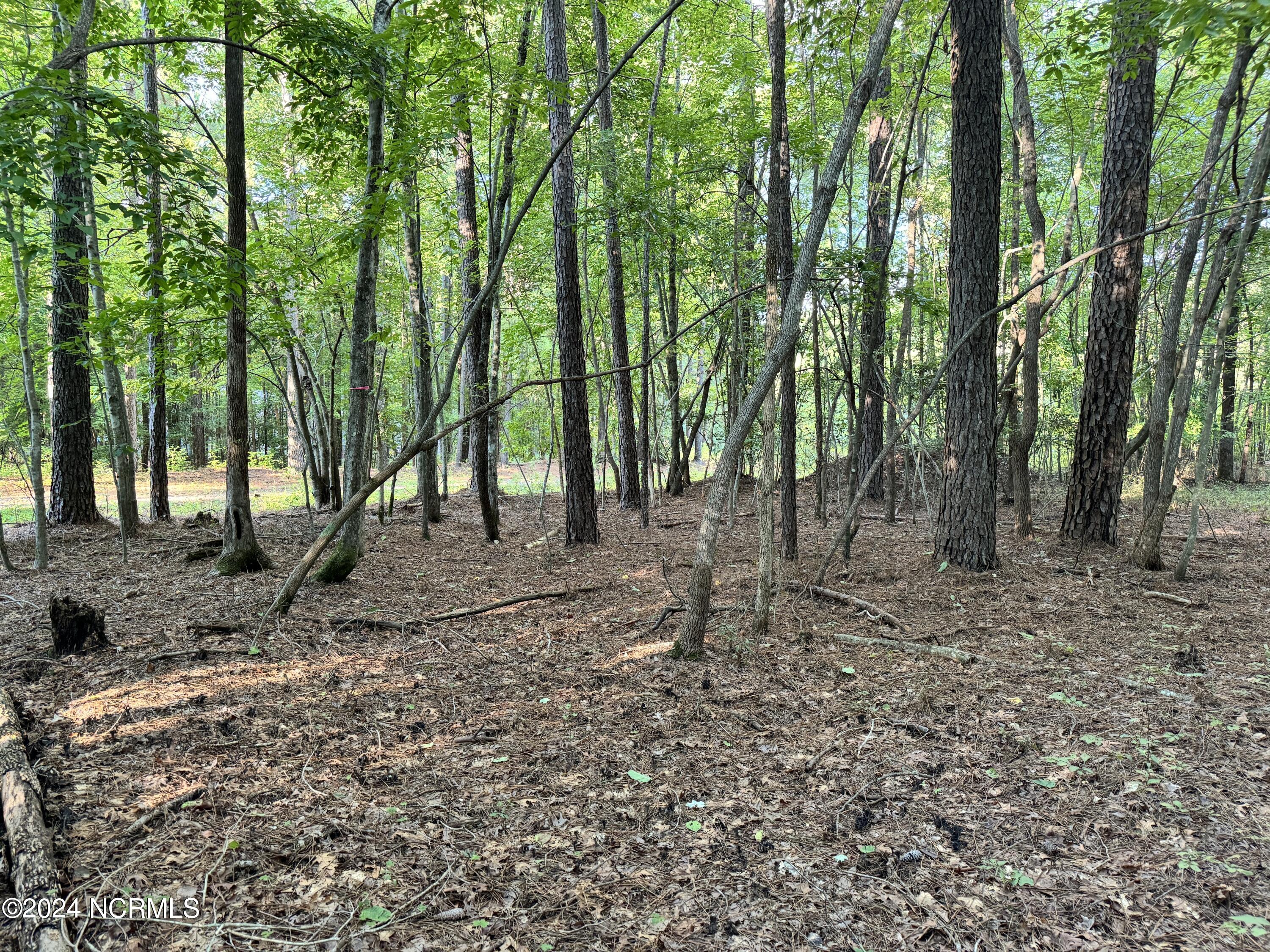 81 Beans Bend Chocowinity, NC 27817 - Photo 11 of 25 AA7B3945-F19A-47B2-A98E-B712D1595B79