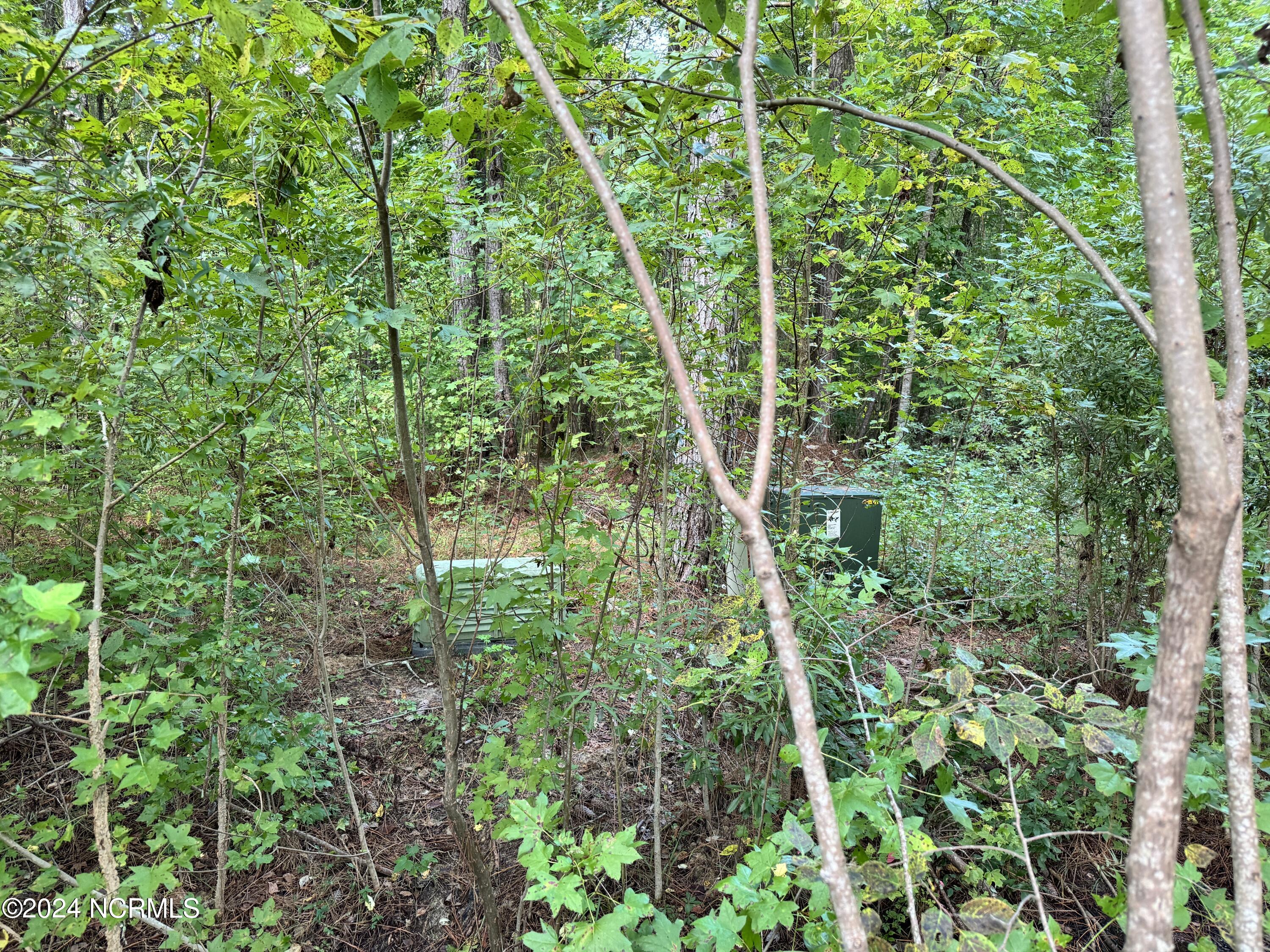 81 Beans Bend Chocowinity, NC 27817 - Photo 12 of 25 FFFD9938-05BD-446F-A6FE-DAE5DFB57688