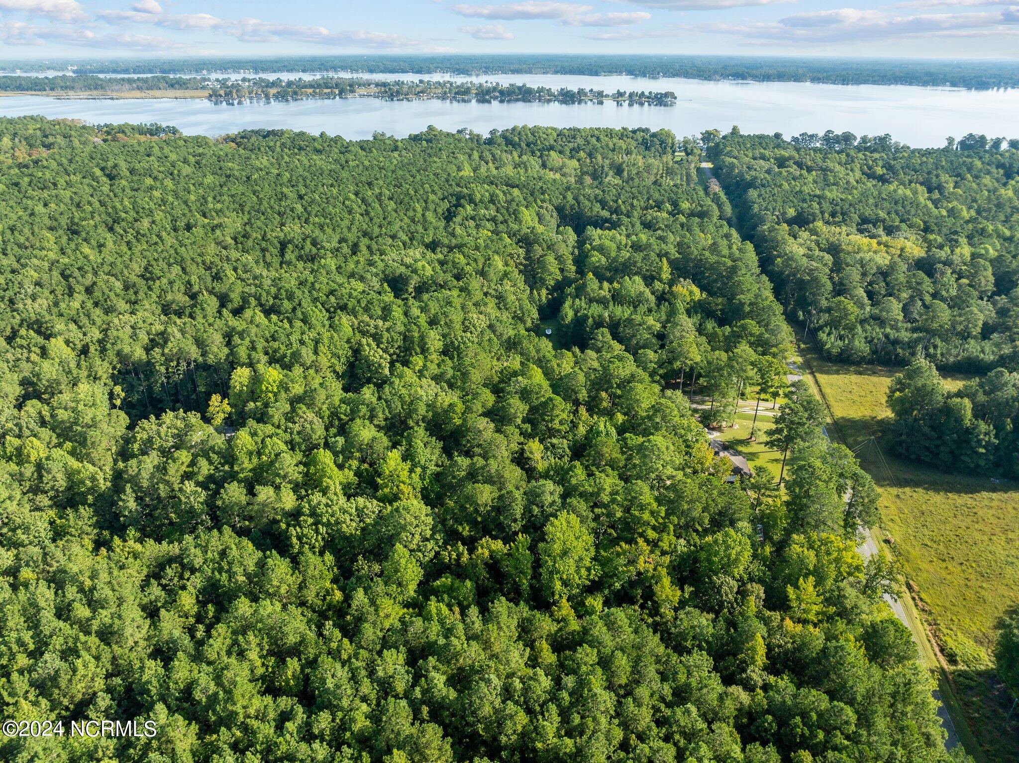 81 Beans Bend Chocowinity, NC 27817 - Photo 14 of 25 4-web-or-mls-DJI_0177