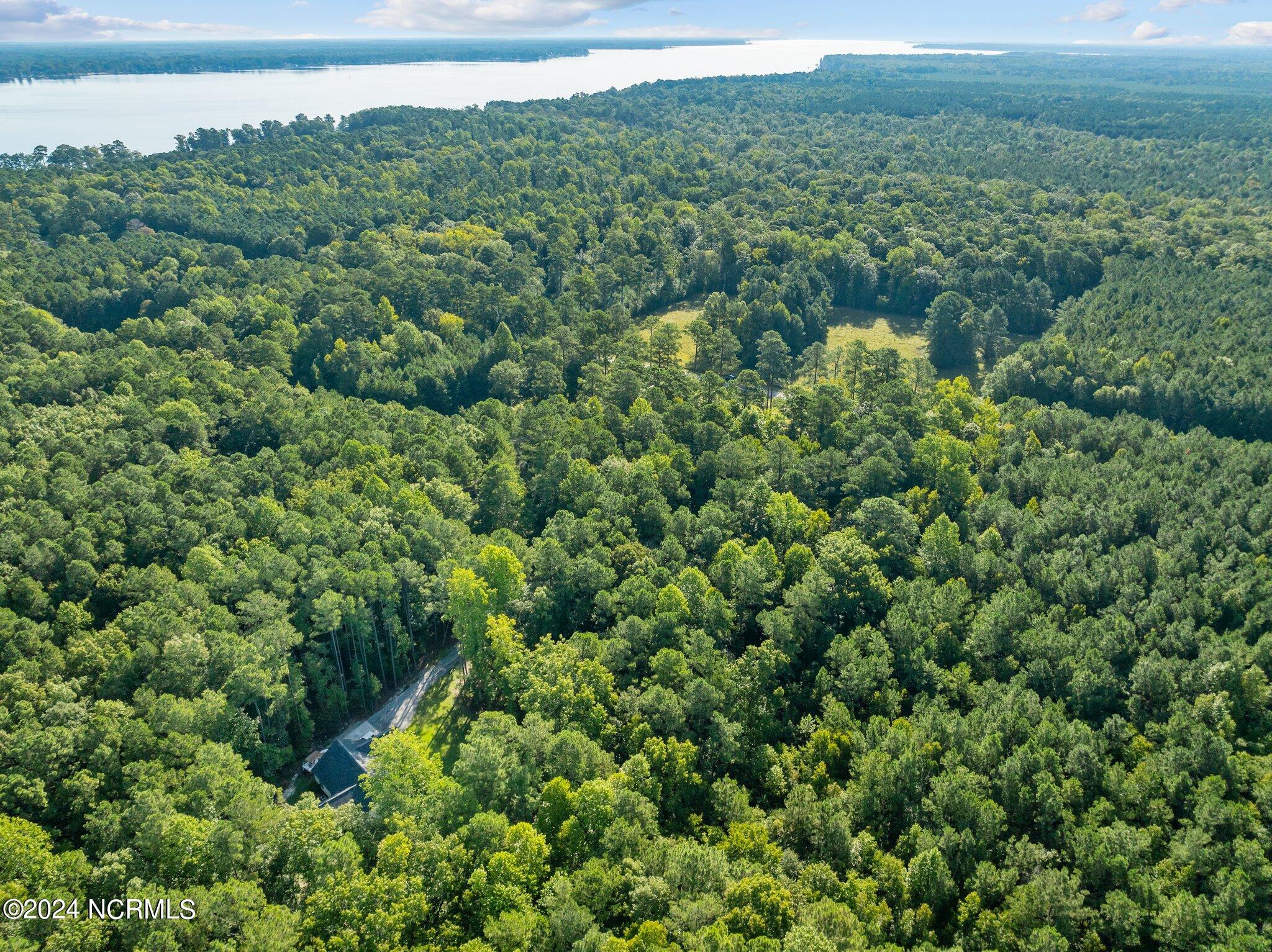 81 Beans Bend Chocowinity, NC 27817 - Photo 15 of 25 5-web-or-mls-DJI_0178