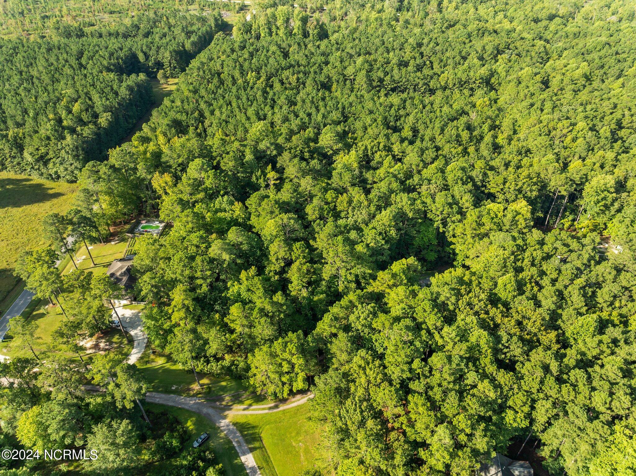 81 Beans Bend Chocowinity, NC 27817 - Photo 16 of 25 1-web-or-mls-DJI_0174