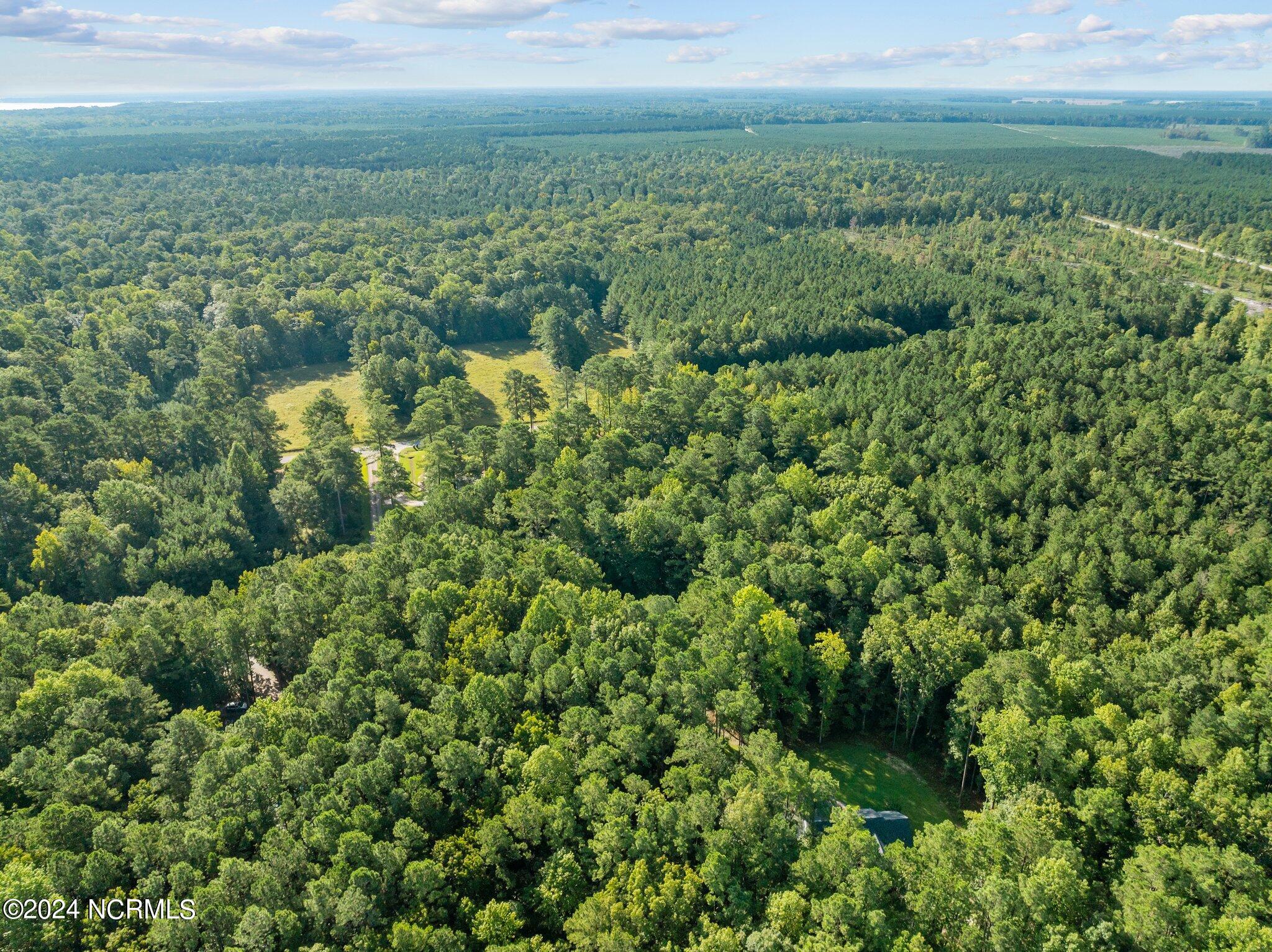 81 Beans Bend Chocowinity, NC 27817 - Photo 18 of 25 6-web-or-mls-DJI_0179