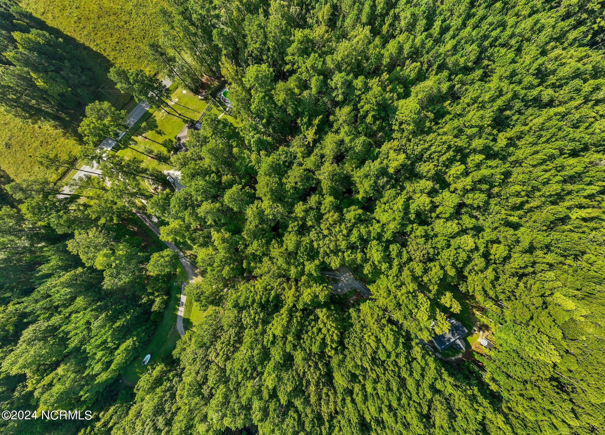 81 Beans Bend Chocowinity, NC 27817 - Photo 20 of 25 9-web-or-mls-DJI_0181