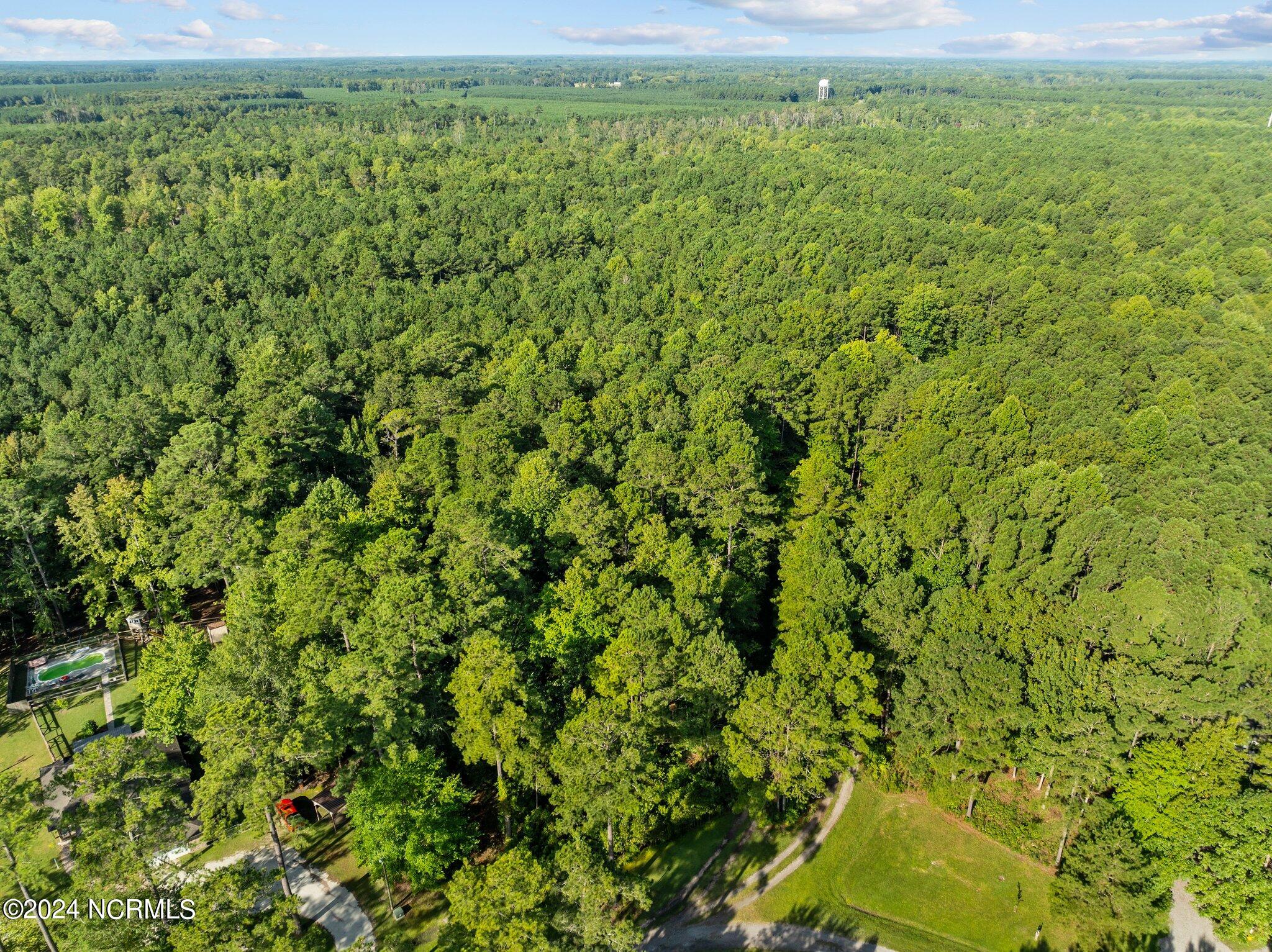 81 Beans Bend Chocowinity, NC 27817 - Photo 21 of 25 10-web-or-mls-DJI_0183