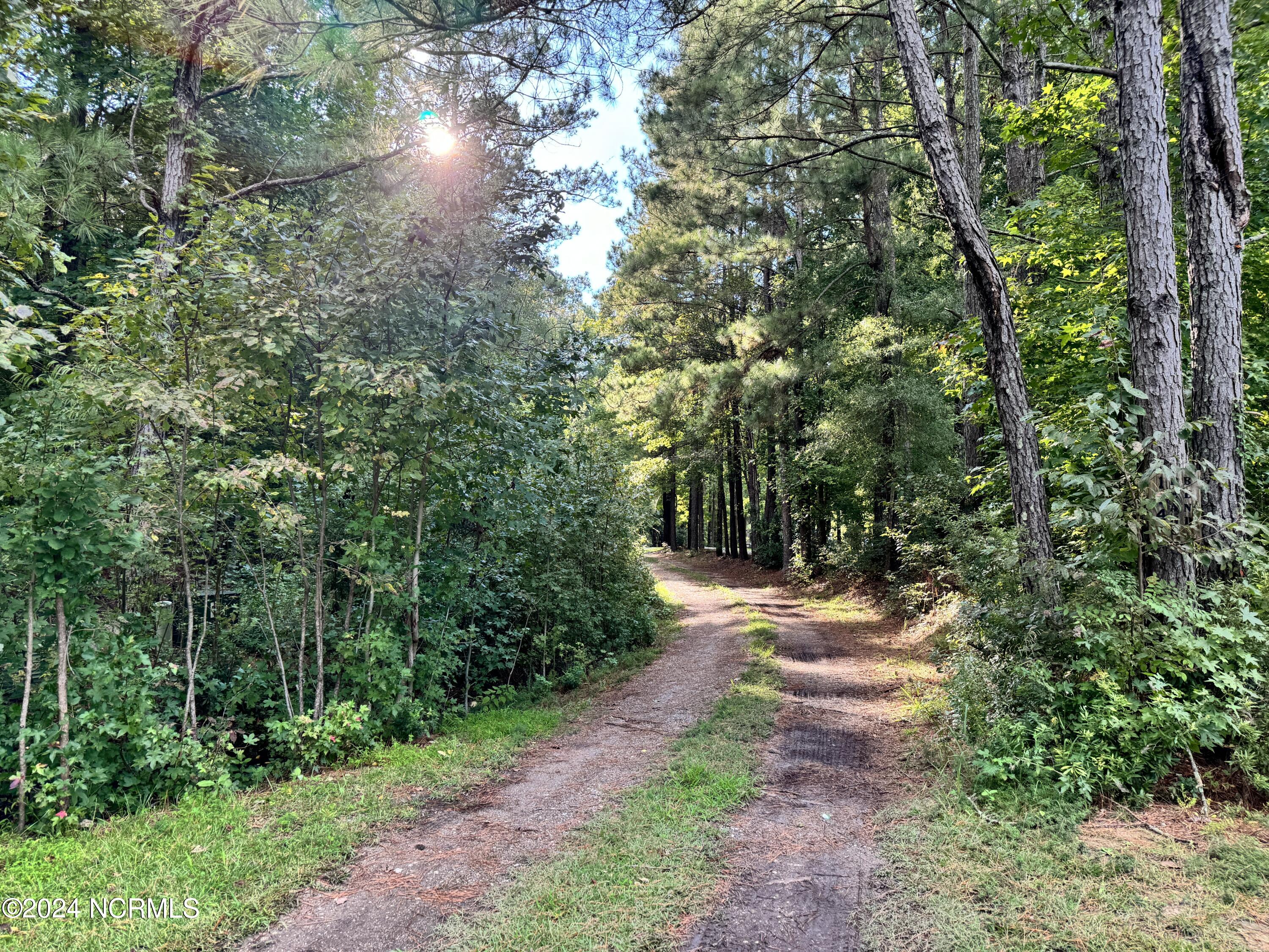 81 Beans Bend Chocowinity, NC 27817 - Photo 5 of 25 1F01DCA7-2B34-40C3-97A6-77F23A559D70