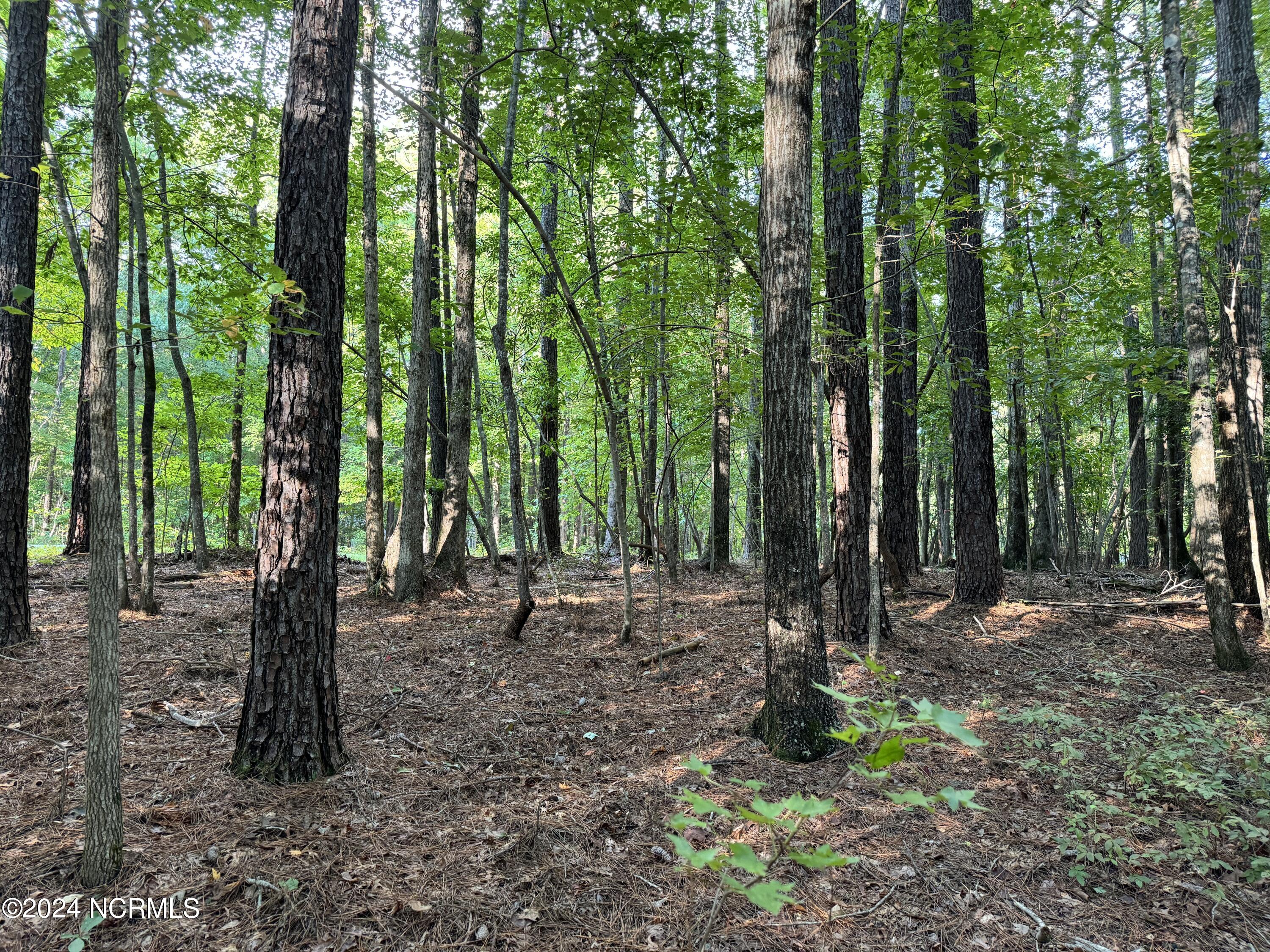 81 Beans Bend Chocowinity, NC 27817 - Photo 6 of 25 0242AD3A-D22D-4CC5-824D-4A9F80E1CD1C