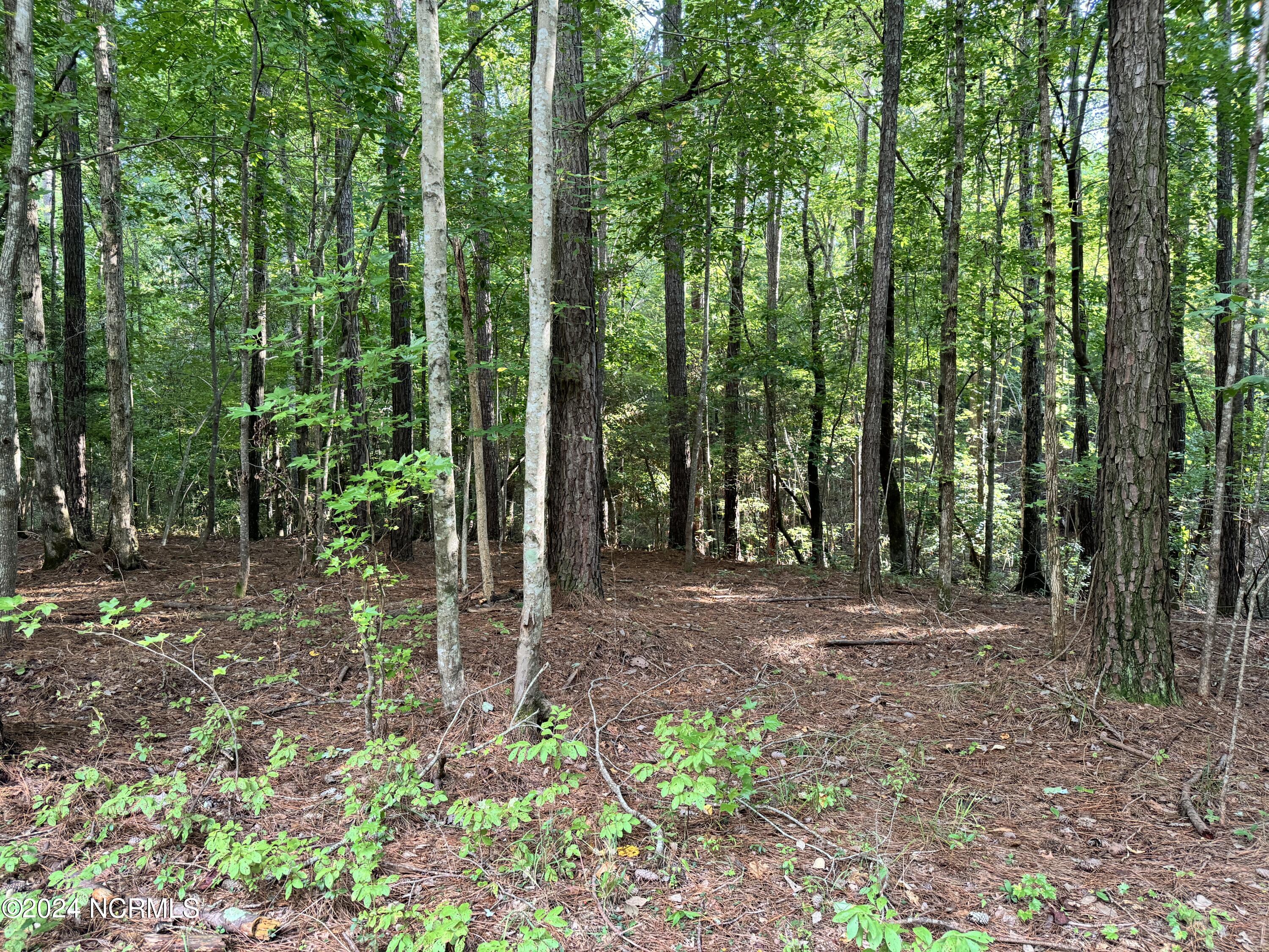 81 Beans Bend Chocowinity, NC 27817 - Photo 7 of 25 B65F3953-C6A7-486D-9078-21392779CF92