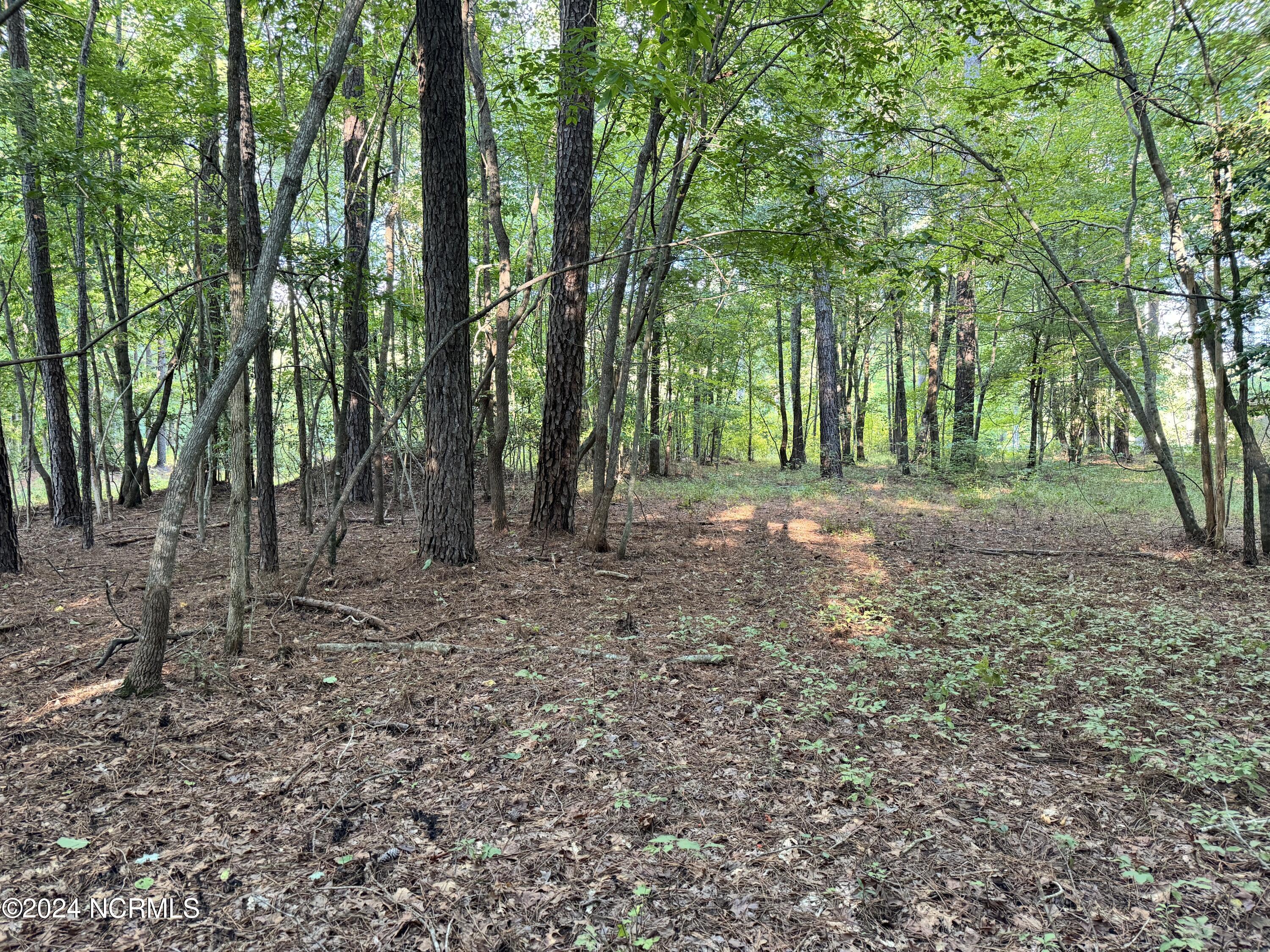 81 Beans Bend Chocowinity, NC 27817 - Photo 10 of 25 C2D4EC59-041E-4204-B5C7-5279CEFA7EBA