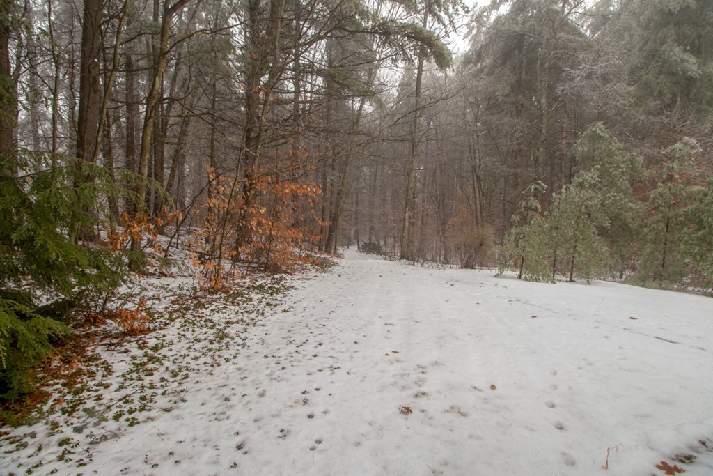 170 State Road West Westminster, MA 01473 - Photo 3 of 18 Gallery Image 3