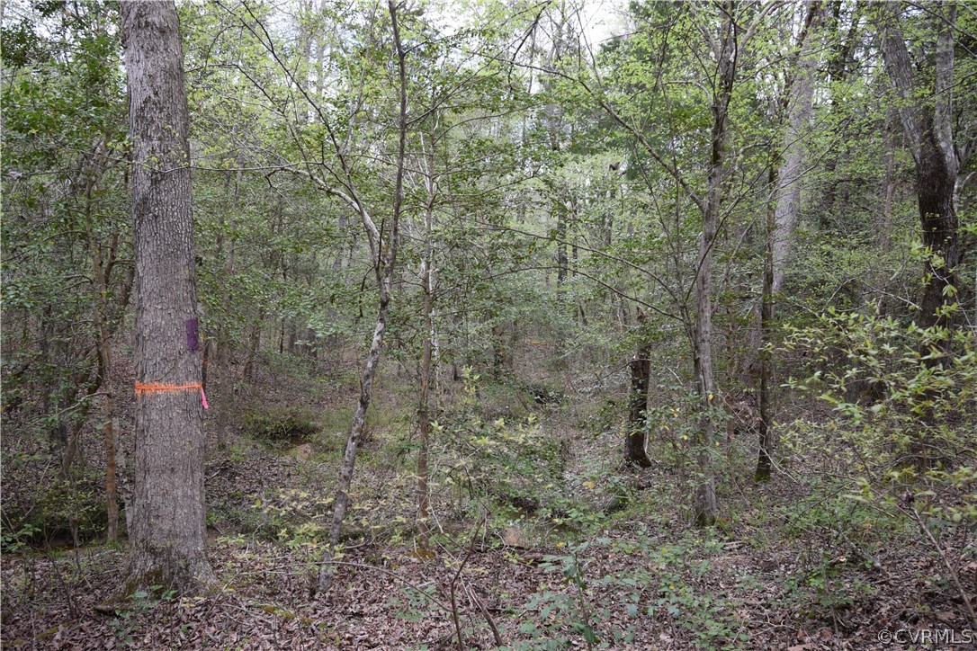 23177 Shippings Road McKenney, VA 23872 - Photo 20 of 27 Gallery Image 20