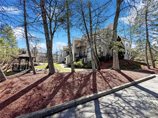 a view of a park with trees