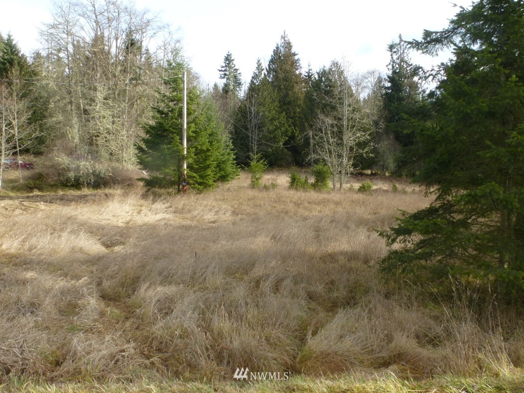 2195 Lost Mountain Road Sequim, WA 98382 - Photo 4 of 6 Gallery Image 4