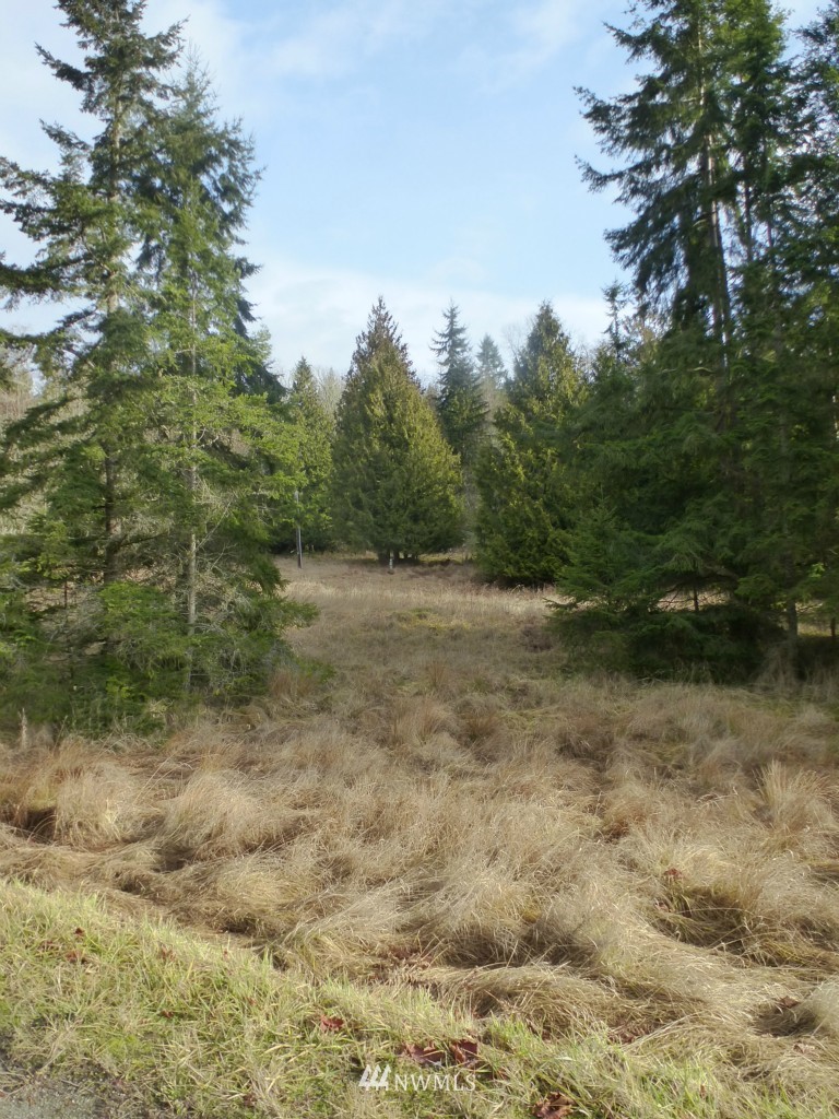 2195 Lost Mountain Road Sequim, WA 98382 - Photo 5 of 6 Gallery Image 5