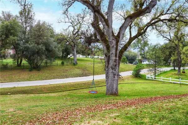 a view of a park with large trees
